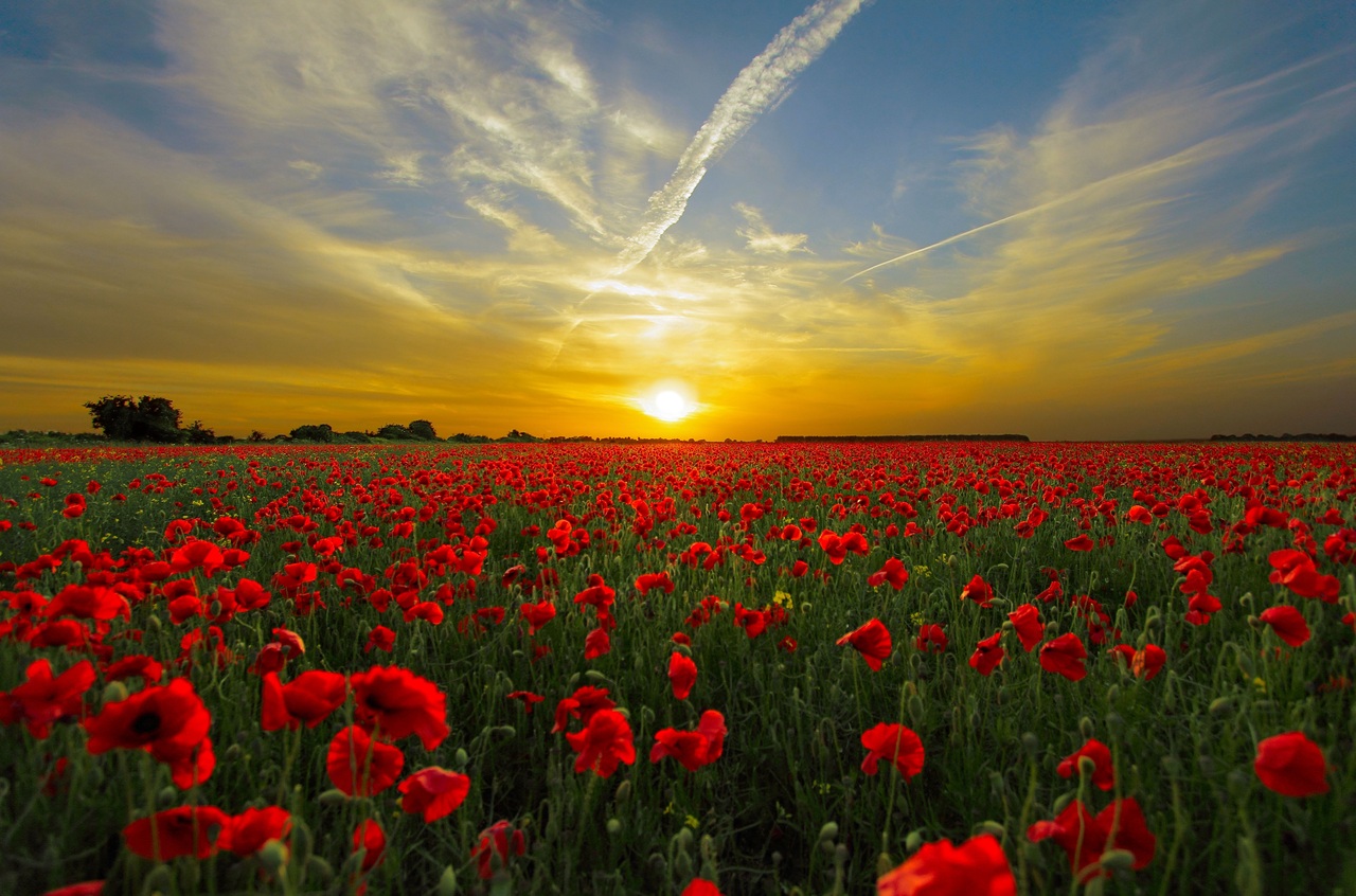 The Beauty of a Sunset: Capturing the Moment